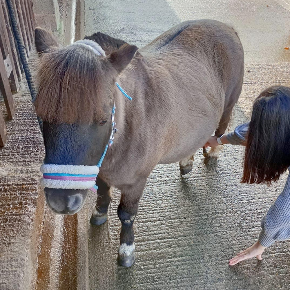 TMS Visit a Farm!>